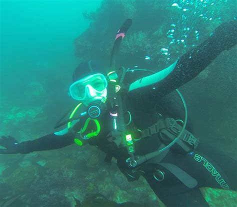 Next Level Diving (San Diego) - All You Need to Know BEFORE You Go