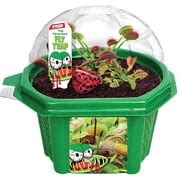 Buy Venus Fly Trap - Fun and Easy to Grow Kids Terrarium Set - Grow Bug ...