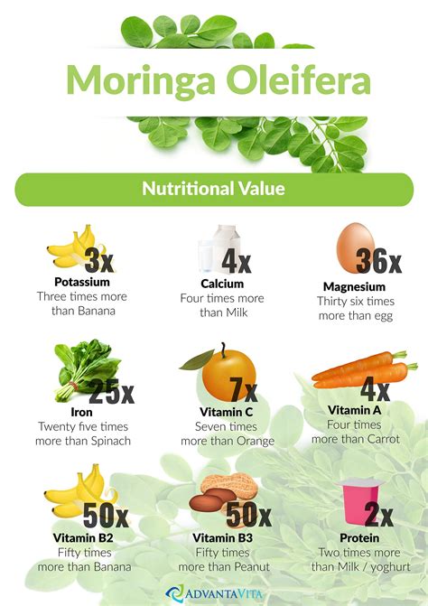 Benefits Of Moringa Leaves Powder For Weight Loss at Gary Geis blog