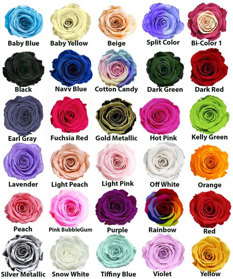 Rose Colors - dluxroses.com