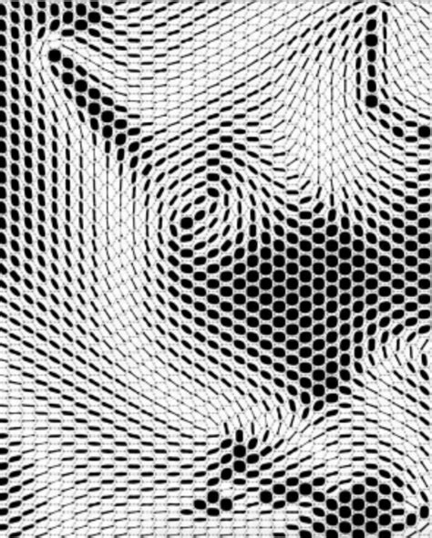 Image result for Procedural Programming Vector