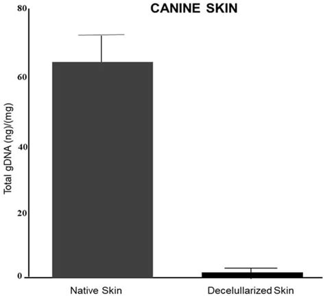 Biological Graft as an Innovative Biomaterial for Complex Skin Wound ...