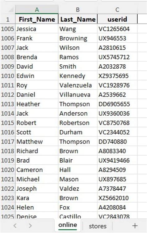 Sample Excel Data for Practice Download 的图像结果