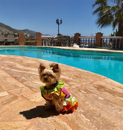 The Spanish “Lisp”: Myth or Reality – Two Retired Canadians & a Dog in ...