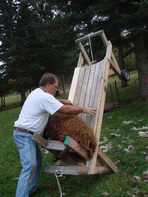 Image result for Shearing Table