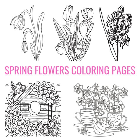 Free Spring Flowers Coloring Pages For Kids And Adults