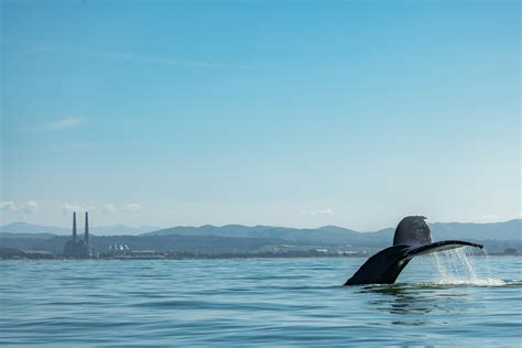 Moss Landing Harbor Photos - Moss Landing Harbor District