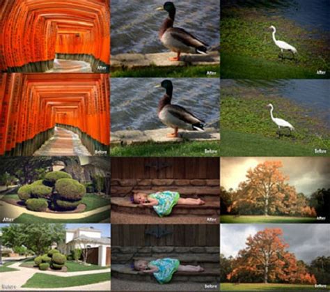 آبی گرافیک | دانلود آموزش ،گرافیک و عکس