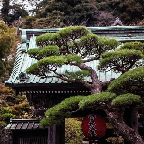 A Slow Travel Guide To Kumbakonam’s Living Art, Culture, And Heritage