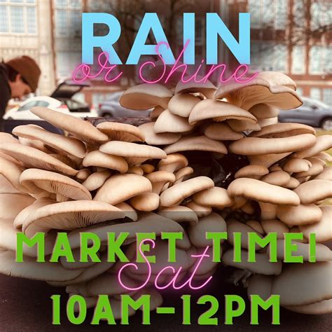 Richland Park Farmer's Market