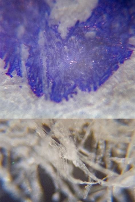 Paper under a microscope : pics