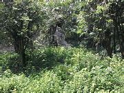 Image result for Computer Image in Bit Computer Graphic