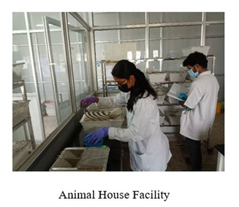 Official Website of Alagappa University - Karaikudi, Tamilnadu, India