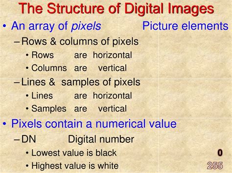 Digital Image Example 的图像结果