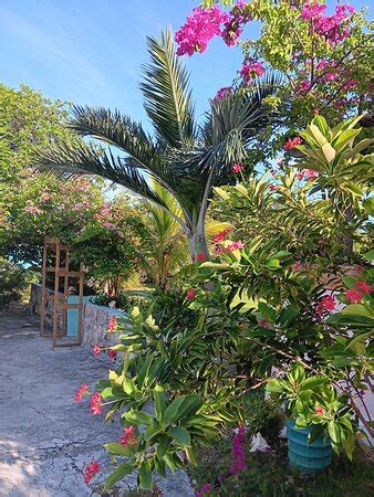 C SHELLS GUEST QUARTERS (Salt Pond) - Apartment Reviews & Photos ...