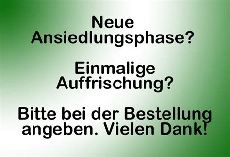 Güllefliegen - biologische Fliegenbekämpfung | BEG Schulze Bremer GmbH