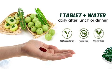 Vlado's Himalayan Organics Natural Vitamin C Supplements Amla Extract ...