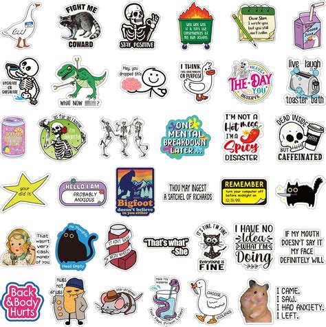 Amazon.com: Chivertion 400 Pcs Funny Stickers for Adults Funny Water ...