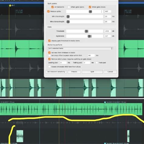 Image result for Reaper Dynamic Split