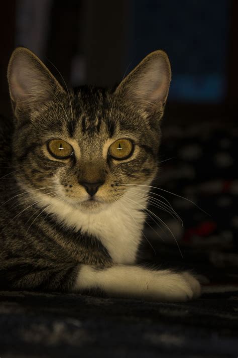 Sony Alpha NEX-5R sample photo - JvhmSRvMQS - ExploreCams