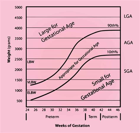 Understanding and Calculating Gestational Age | CK Birla Hospital