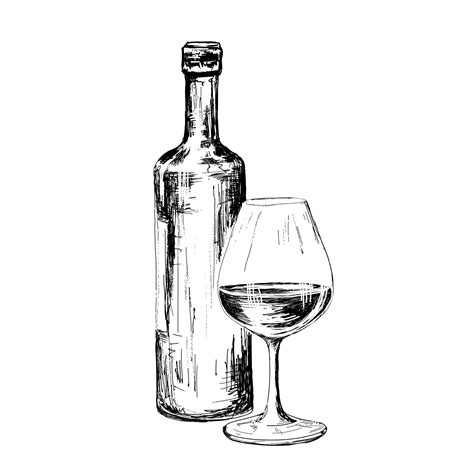 Premium Vector | Bottle of wine drawing