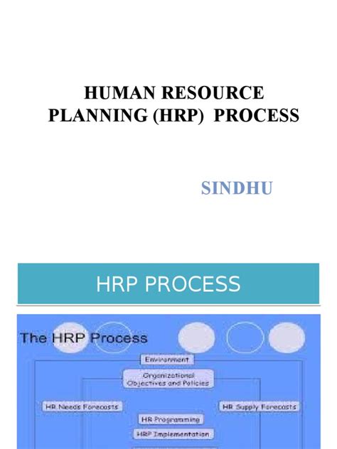 Image result for HRP Process Explained