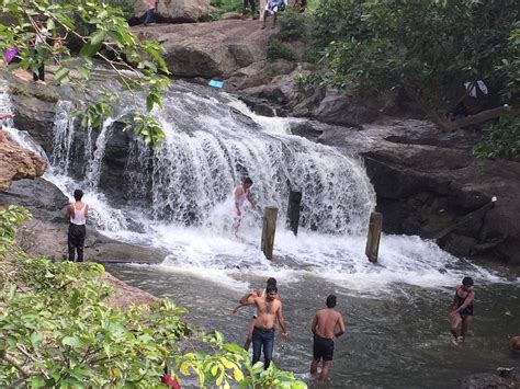 JAVADHU HILLS (2026) All You Need to Know BEFORE Going (with Photos)