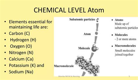 Example of System Structure 的图像结果