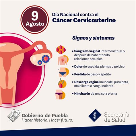 Sintomas De Cancer De Utero