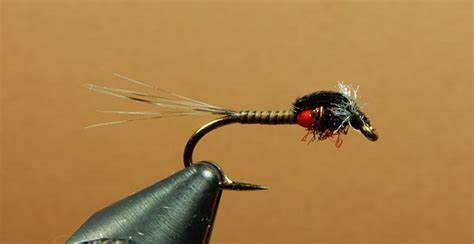 Image result for Muskin Fly Pattern