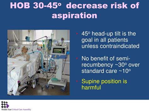 Image result for Knowledge Examination Example