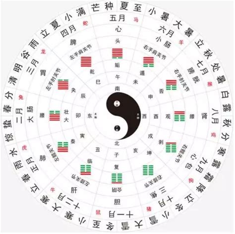 《九天学算卦》一书于台湾再版--四柱八字,命理,八字命理,六爻占卜,命理百科-寅午文化