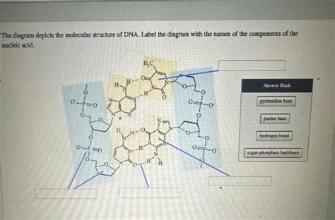DNA Label 的图像结果