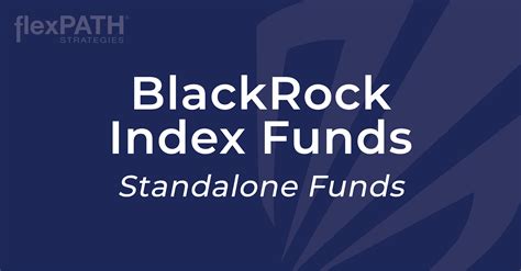 Blackrock Funds Capital Gains Estimates 2024