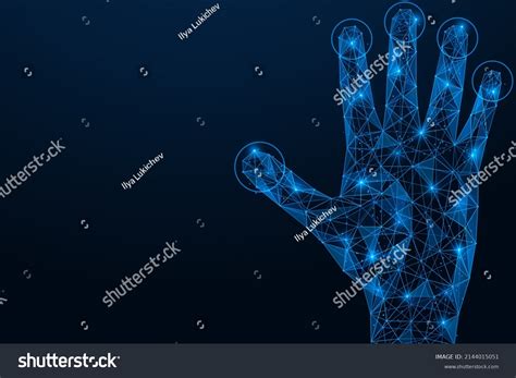 Palm Print Identification System 的图像结果