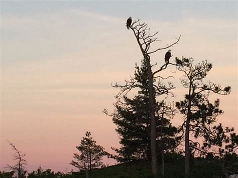 TAMARACK RESORT (Ely) - Campground Reviews & Photos - Tripadvisor