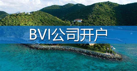 BVI公证用于青岛银行开户怎么办理？_BVI使馆认证_香港国际公证认证网