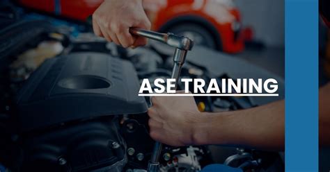 ASE Training 的图像结果