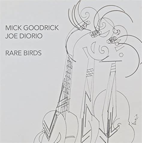 Rare Birds: Mick Goodrick & Joe Diorio: Amazon.in: Music}