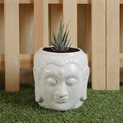 Ceramic Pots | Ceramic Planter Pots | Ceramic Pots Plants ...