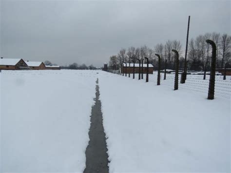 I Visited Auschwitz-Birkenau, The More I Know, the Less I Understand ...