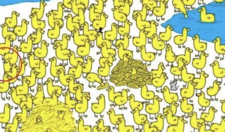 Acertijo visual: ¿puedes encontrar el pollito escondido en esta imagen?