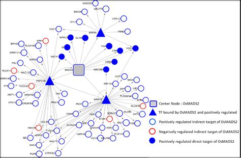 Research Themes - Microbiology & Cell Biology