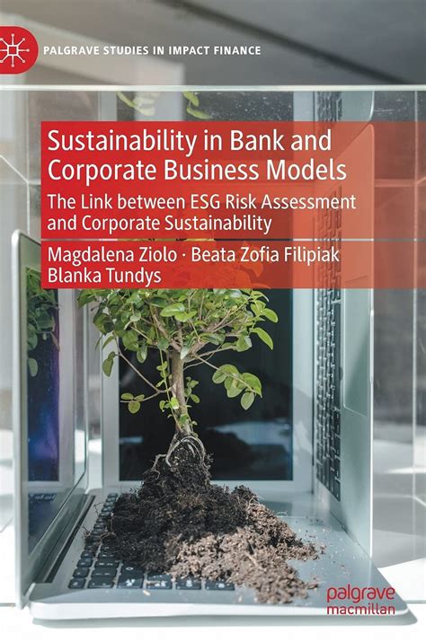 Sustainability in Bank and Corporate Business Models: The Link between ...