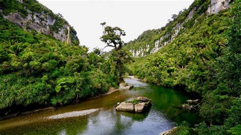 DOC Paparoa National Park Visitor Centre | Visitor Information Centres ...