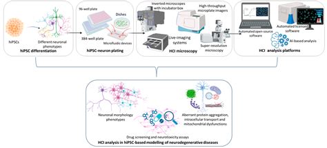 Recent Advances in High-Content Imaging and Analysis in iPSC-Based ...
