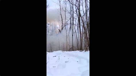 Image result for Exploding Tree Prank