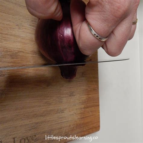 Image result for Learn Basic Cooking