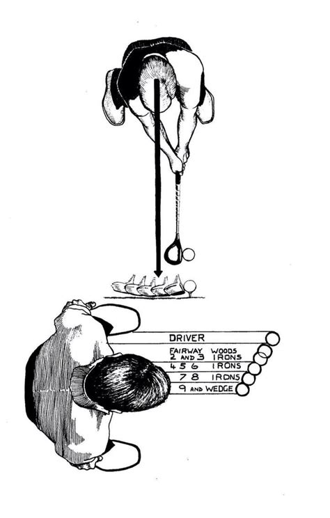 Lean Drawing 的图像结果